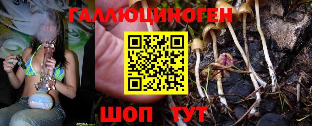 Псилоцибиновые грибы мухоморы Ишимбай
